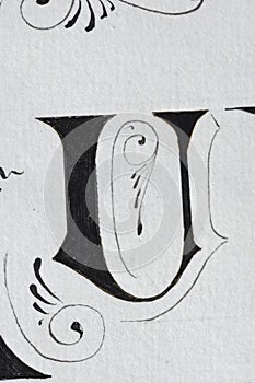 the letter u made with nib on white