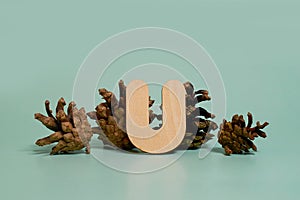 Letter U. A wooden letter of the English alphabet and four pine cones