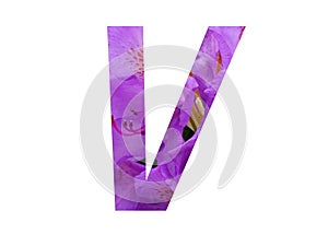 Letter V of the alphabet made with pink flower of Rhododendron