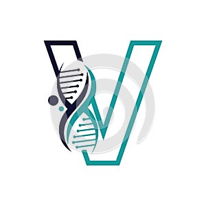 Letter V with DNA logo or symbol Template design vector