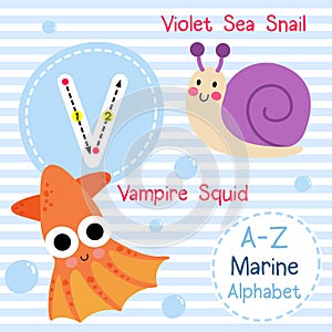 Letter V tracing. Violet Sea Snail. Vampire Octopus. Marine alphabet