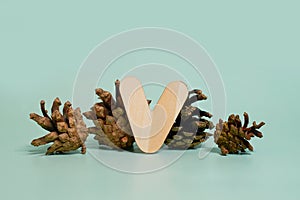 Letter V. A wooden letter of the English alphabet and four pine cones