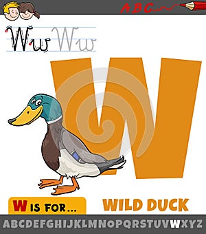 Letter W from alphabet with cartoon wild duck animal character