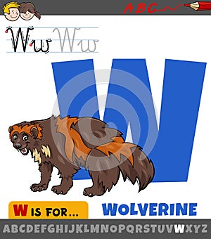 Letter W from alphabet with cartoon wolverine animal character