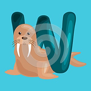 Letter W with animal walrus for kids abc education in preschool.