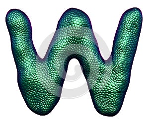 Letter W made of natural green snake skin texture isolated on white.