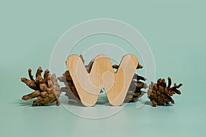 Letter W. A wooden letter of the English alphabet and four pine cones