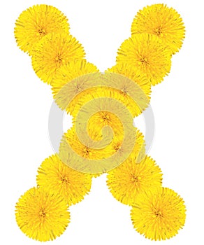 Letter X made from dandelions