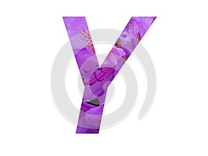 Letter Y of the alphabet made with pink flower of Rhododendron