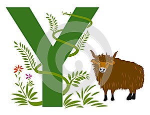 Letter Y with green grass vines and Yak