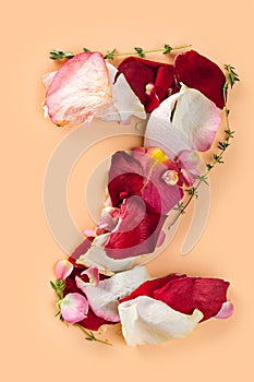 Letter Z made from red roses and petals isolated on a white background