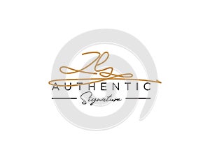 Letter ZE Signature Logo Template Vector