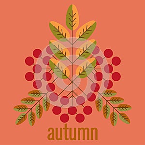 Lettering autumn, fall leaves, berries. Autumn banner for advertising, sales. Vector illustration in orange, green and brown