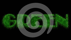 Lettering Green - word in green letters made of grass - isolated on black background