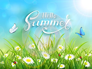 Lettering Hello Summer on blue nature background