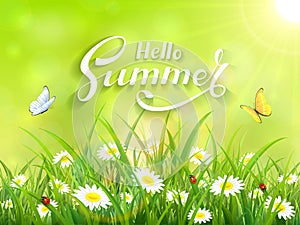 Lettering Hello Summer on green nature background