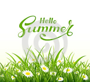 Lettering Hello Summer and nature background with grass