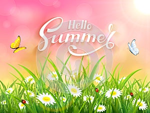 Lettering Hello Summer on pink nature background