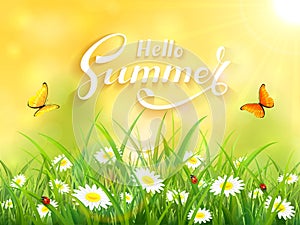 Lettering Hello Summer on yellow nature background