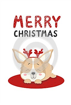 Lettering merry christmas with dog toddler