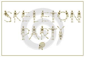 Lettering skeleton party with dancing skeletons font, set of let
