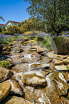 Letterman Digital Arts Center Recycled Water Pond at Lucas