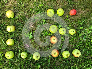 Letters from apples. letter L and e, apple lettering. letters for word, congratulations, creative image of words. edible letter,