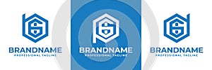 Letters BGI PGI DGI Hexagon Logo, for BGI BIG PGI PIG DGI DIG initials photo