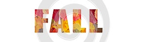 Letters FALL from colorful autumn leaves isolated on a white background.