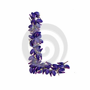 Letters of flowers, a bright alphabet of purple petals. Letter L