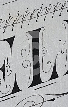 the letters l made with nib on white