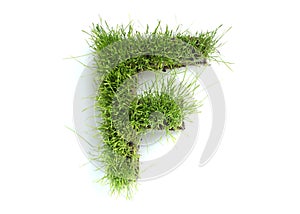 Letters made of grass