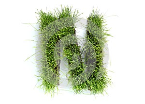 Letters made of grass