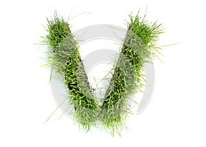 Letters made of grass