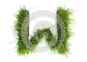 Letters made of grass