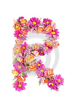 Letters and numbers made from live flowers isolated on white background, make text with flowers alphabet, exclusive idea for graph