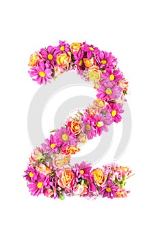 Letters and numbers made from live flowers isolated on white background, make text with flowers alphabet, exclusive idea for graph