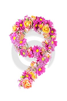 Letters and numbers made from live flowers isolated on white background, make text with flowers alphabet, exclusive idea for graph