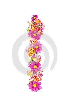 Letters and numbers made from live flowers isolated on white background, make text with flowers alphabet, exclusive idea for graph