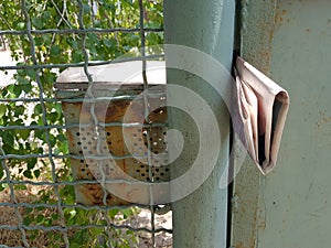 Letters in an old mailbox and a newspaper sticking out at the gate