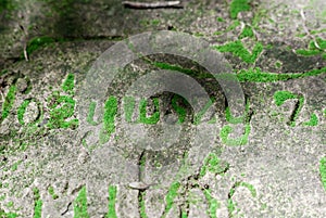 Letters on the tomb of 19th century overgrown with moss. Forgotten place.