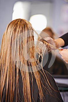 Letting a pro cut her hair. A young woman having her hair cut by a hairdresser.