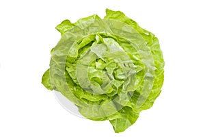 Lettuce img