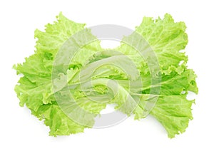 Lettuce