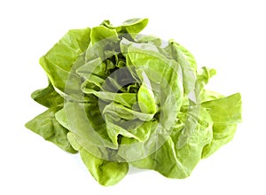 Lettuce