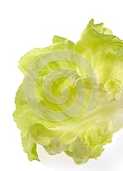 Lettuce