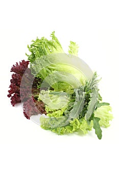 Lettuce