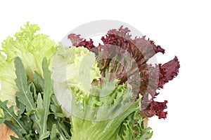 Lettuce