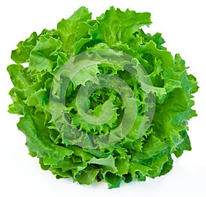 Lettuce