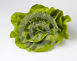 Lettuce photo